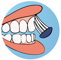 Spagnolo-Dental-Prevencion-03