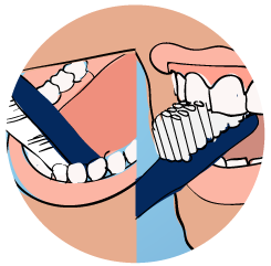 Spagnolo-Dental-Prevencion-05