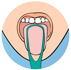 Spagnolo-Dental-Prevencion-10